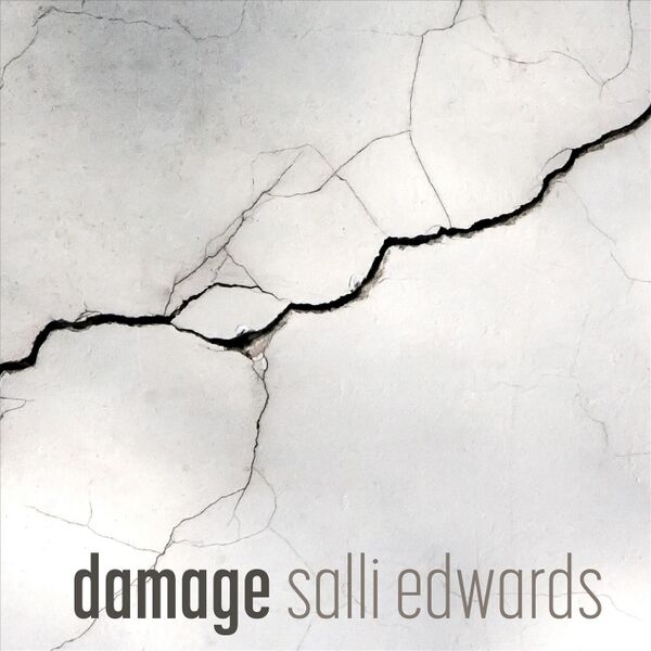 Cover art for Damage